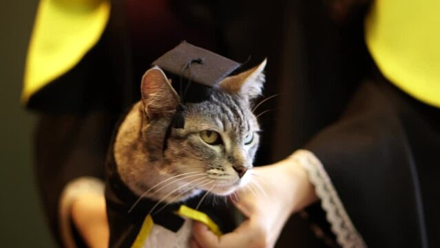 CAT GRADUATING STUDENT GRADUATING COLLEGE