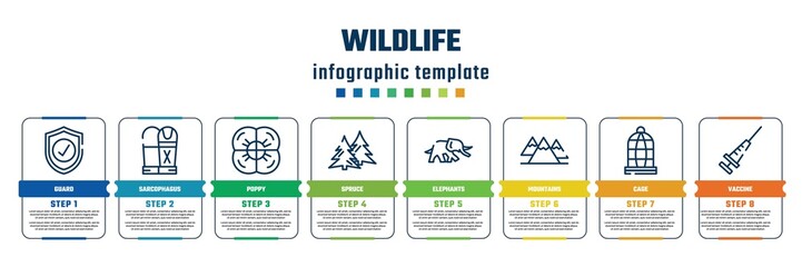 wildlife concept infographic design template. included guard, sarcophagus, poppy, spruce, elephants, mountains, cage, vaccine icons and 8 steps or options.