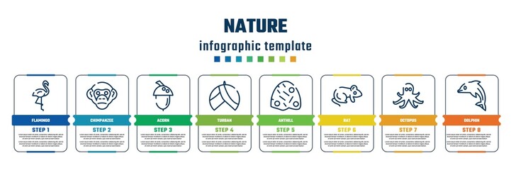 nature concept infographic design template. included flamingo, chimpanzee, acorn, turban, anthill, rat, octopus, dolphin icons and 8 steps or options.