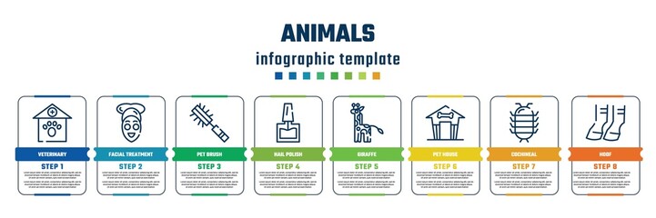 animals concept infographic design template. included veterinary, facial treatment, pet brush, nail polish, giraffe, pet house, cochineal, hoof icons and 8 steps or options.