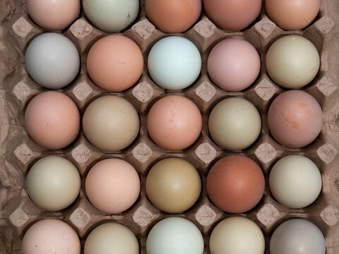 Close-up photography of some assorted color free-range eggs on a carton tray.