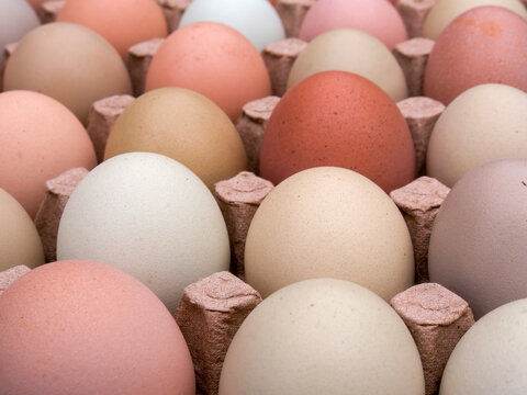 Very close-up photography of some assorted color free-range eggs on a carton tray.