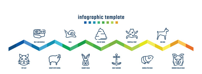 concept infographic design template. included belt and buckle, pet cat, null, sheep with wool, pile of dung, rabbit head, tropical frop, boat anchor, big dog, border collie head icons.