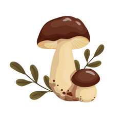 Pair of boletus mushrooms with forest grass.Cartoon vector graphic.