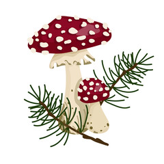 Fly agaric mushrooms with pine twigs .Cartoon vector graphic.
