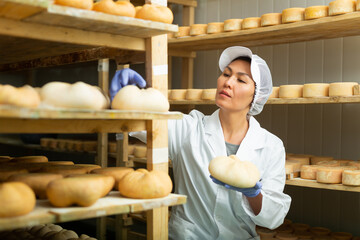 Focused Asian woman engaged in cheesemaking dressed in white uniform with cap and gloves examining...