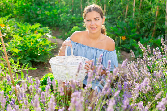 Young and beautiful woman near flowers beside lavender shrub