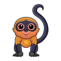 Cute spider monkey cartoon posing