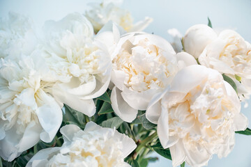 Delicate white bouquet peonies on a light background
