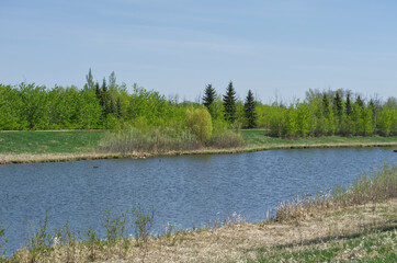 Pylypow Wetlands on a Spring Day