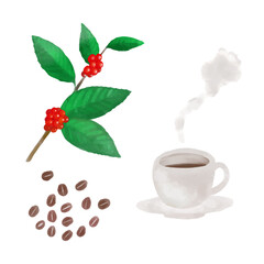 水彩風のコーヒー豆のイラストセット