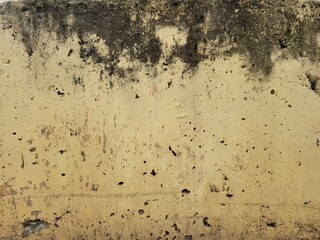 Concrete Wall Texture