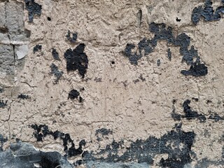 Concrete Wall Texture
