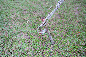 Steel ground anchors are used to reinforce tensile strength and wind loads.