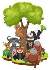 Wild animals in cartoon style