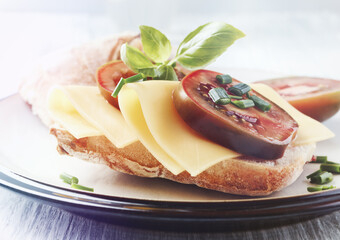 Sandwich with cheese and tomatoes. Close up.