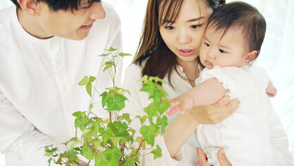 植物を見る赤ちゃんと両親