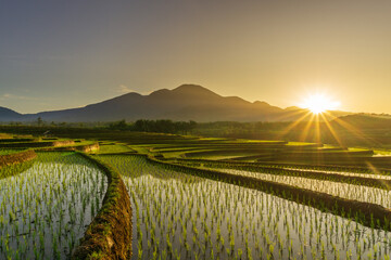 Beautiful views of sunlight and morning mist on blue mountains and beautiful terraces of Indonesian rice fields