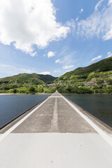 Subsidence bridge