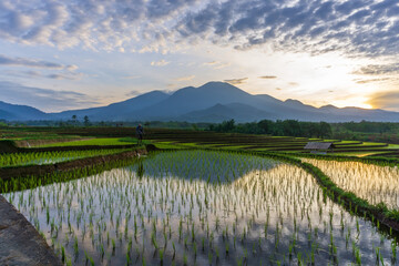 morning view of mountains and terraces of rice fields and farmers with clear water in a cool and beautiful village