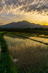 Fototapeta na wymiar morning view of mountains and rice terraces with clear water in a cool and beautiful village