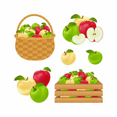 Apples. Set with apples of red, green and yellow colors. Apples in a wooden box and a wicker basket. Collection of apples. Vector illustration