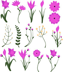 Violet Flower Set