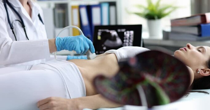 Ultrasound diagnostics of stomach on abdominal cavity and liver