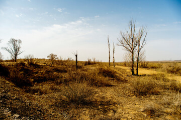 Fototapeta na wymiar Desert landscapes in arid regions