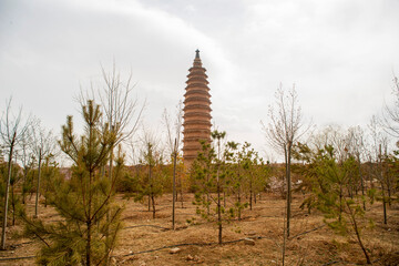 The brick religious pagoda was built in the Xixia Dynasty.