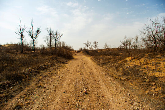 Desert Landscapes In Arid Regions