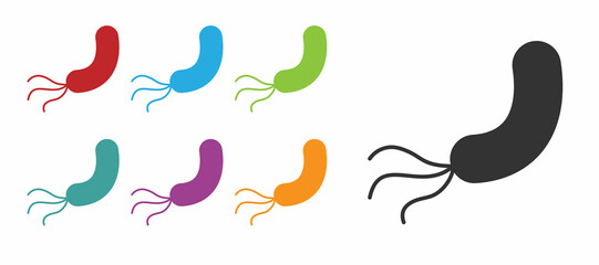 Black Bacteria icon isolated on white background. Bacteria and germs, microorganism disease causing, cell cancer, microbe, virus, fungi. Set icons colorful. Vector