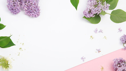 White and pink background with lilac flowers. © bit24