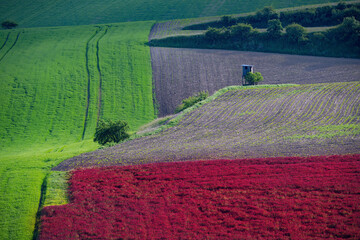 Beautiful rolling landscape in South Moravia called Moravian Tuscany. Czech republic.