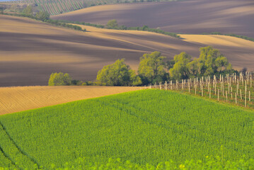 Beautiful rolling landscape in South Moravia called Moravian Tuscany. Czech republic.
