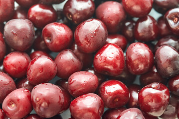 Berries of ripe sweet cherries in water drops.