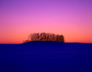 雪原と樹木