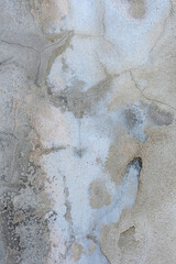 the abstract form on grunge wall