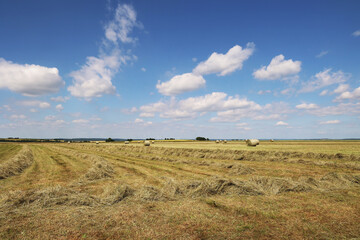 Fototapeta premium Landscape with harvested fields and rolls of hay