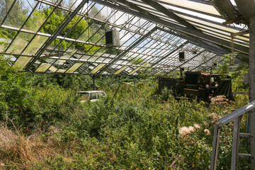 verlassenes und zugewachsenes Gew&auml;chshaus mit Autowrack und altem Traktor.