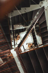 kissing wedding couple standing downstairs with a reflection in the glass railings in the lobby of the hotel