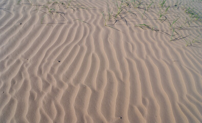 closeup sandy dune in desert, natural wild background