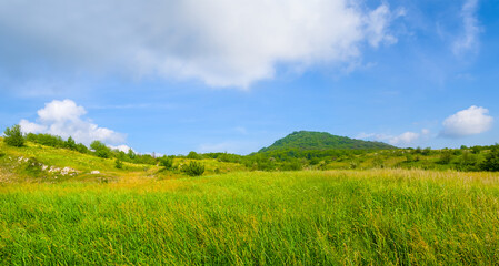 Obraz premium mountain valley covered by green grass
