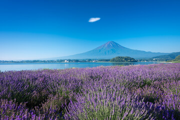 Fototapeta na wymiar 富士山　河口湖