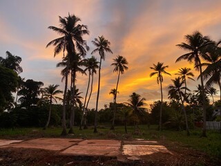 Obraz premium Gorgeous sunset behind coconut trees at sunset in the backwaters of Allepey, Kerala, India