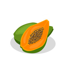 Papaya fruit illustration image. Papaya fruit icon, fruits
