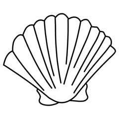 shell  Illustration