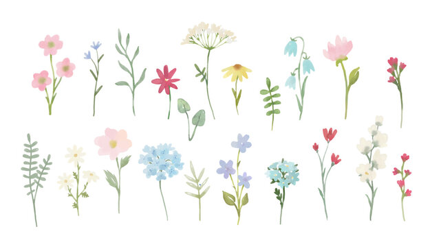 Beautiful floral set with watercolor hand drawn wild field flowers. Stock illustration. Clip art.