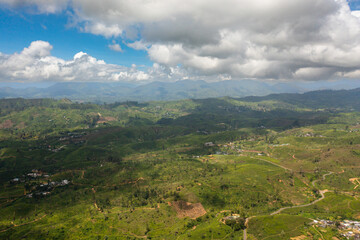 Naklejka premium Tea plantations and agricultural land in a mountainous province. Tea estate landscape. Maskeliya, Sri Lanka.