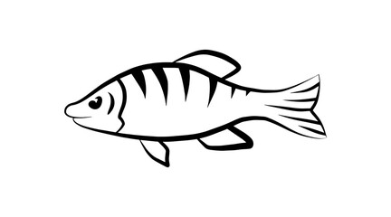 Doodle fish icon isolated on white background. Flat vector sea food logo design element.